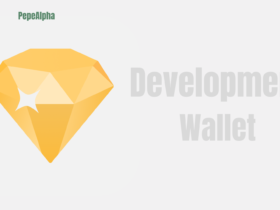 Development Wallet: your new best friend for building DApps