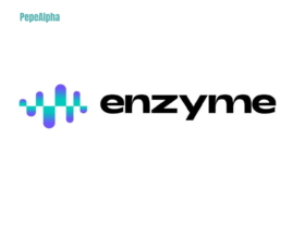 Enzyme Finance (MLN): let's dive into the exciting world