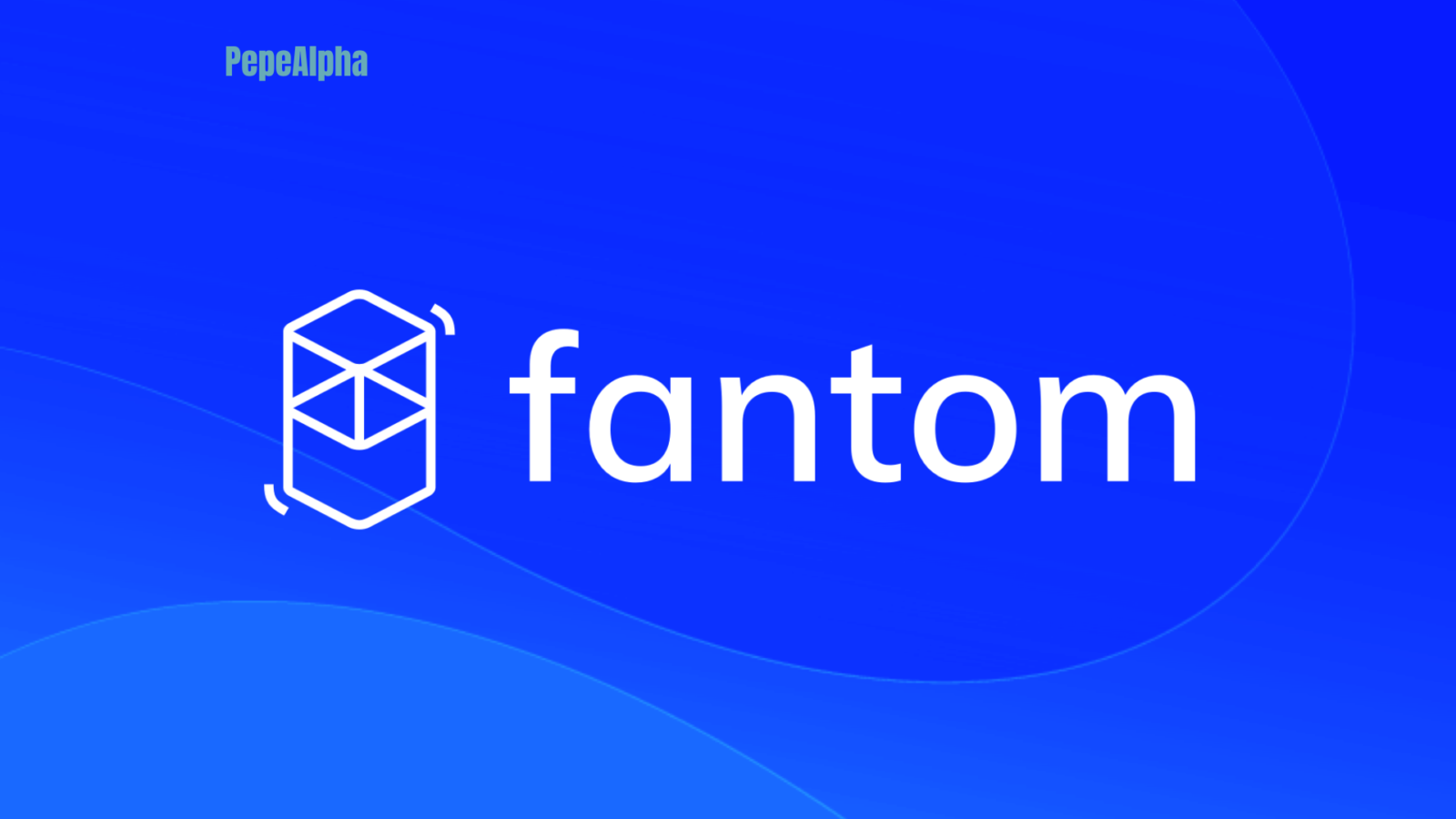 Fantom Foundation: diving into the wild world of dApps
