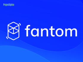 Fantom Foundation: diving into the wild world of dApps