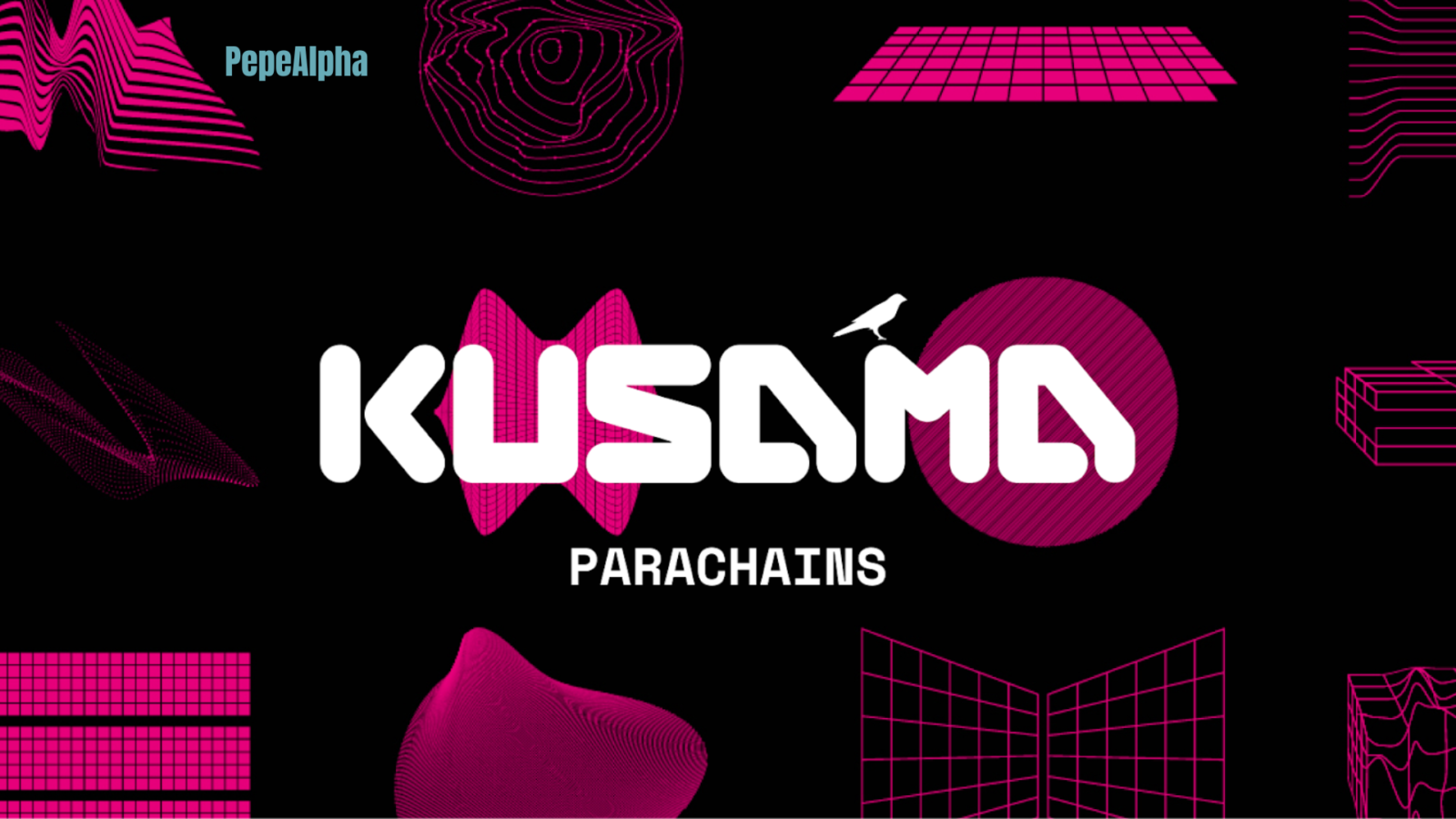 Kusama (KSM): The Wild Testnet of the Crypto Jungle!