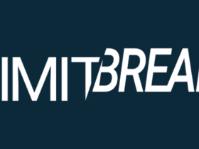 Limit Break: the world of web3 gaming experience