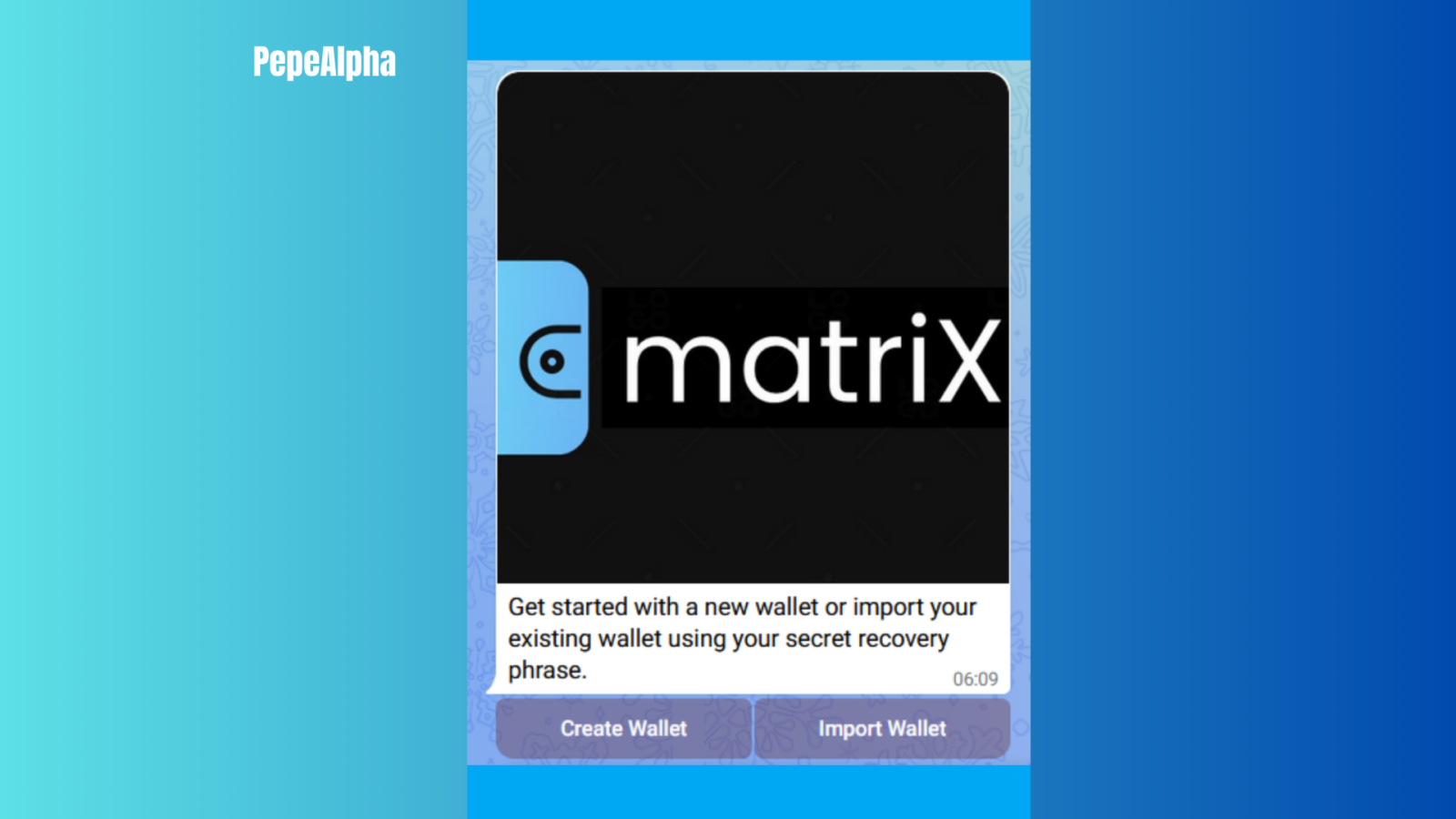 Matrix Wallet: handle all your crypto needs in one place