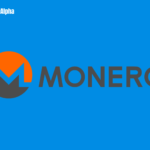 Monero (XMR): the hidden treasure of the crypto world!