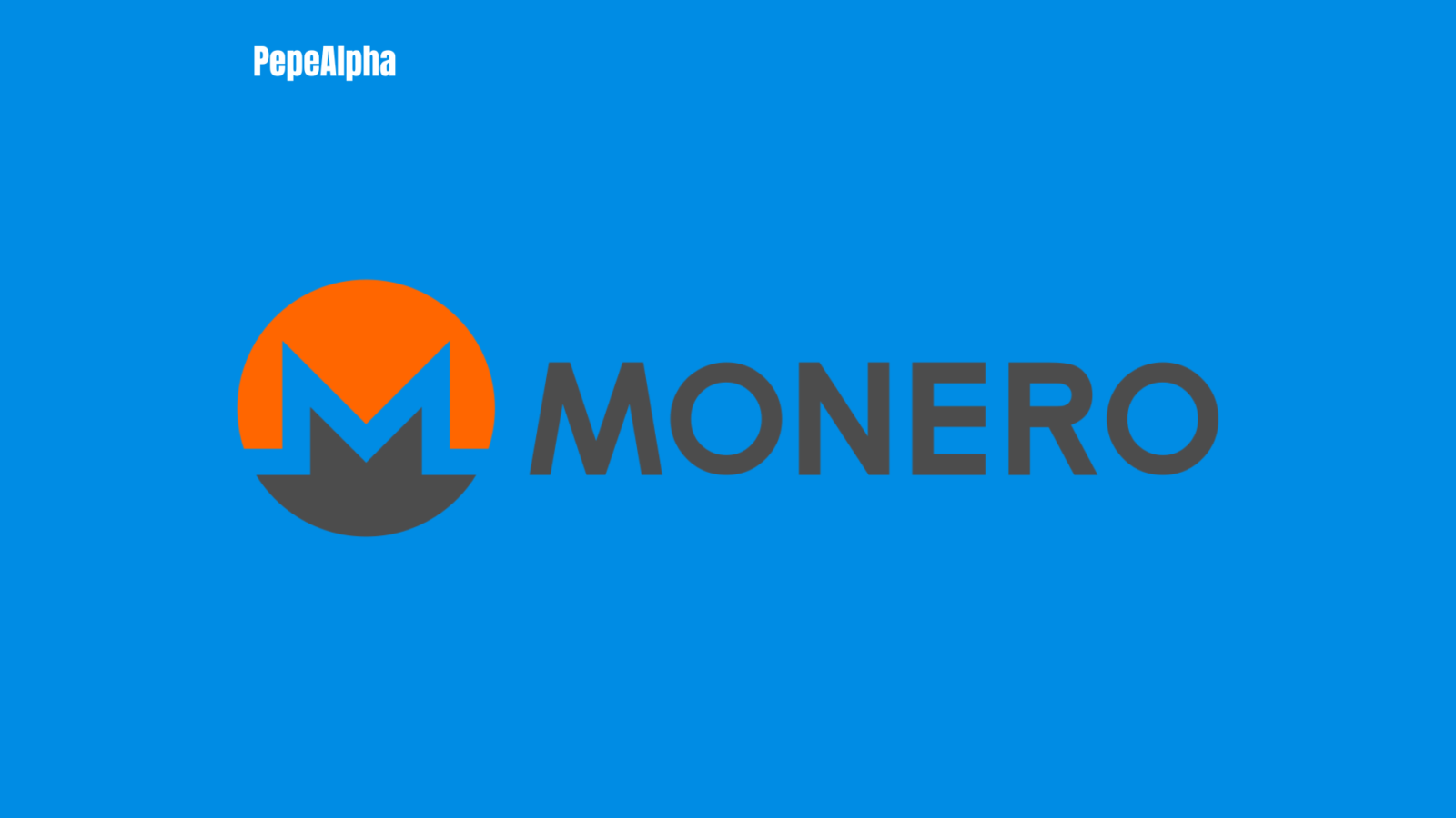 Monero (XMR): the hidden treasure of the crypto world!