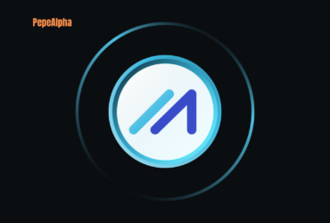 Marlin (POND): vote on the future of this network