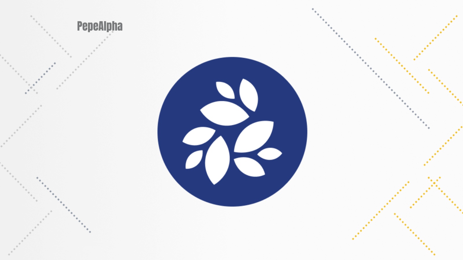 NKN (NKN): the best New Kind of Network