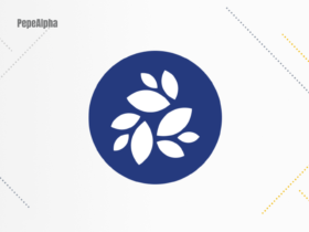 NKN (NKN): the best New Kind of Network