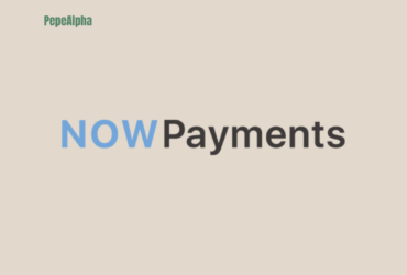NOWPayments: the ultimate crypto payment gateway