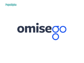 OMG Network: the wonderful world of payments processing