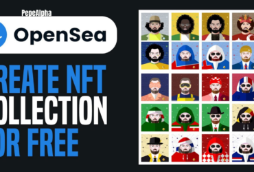 How to make the most of your OpenSea collection?