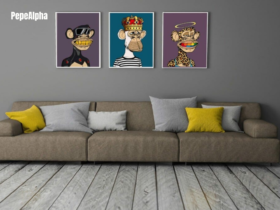 How to display your NFTs?