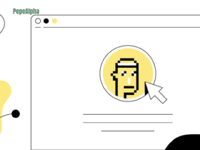 PFP NFT: the wild world of Profile Picture