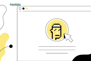 PFP NFT: the wild world of Profile Picture