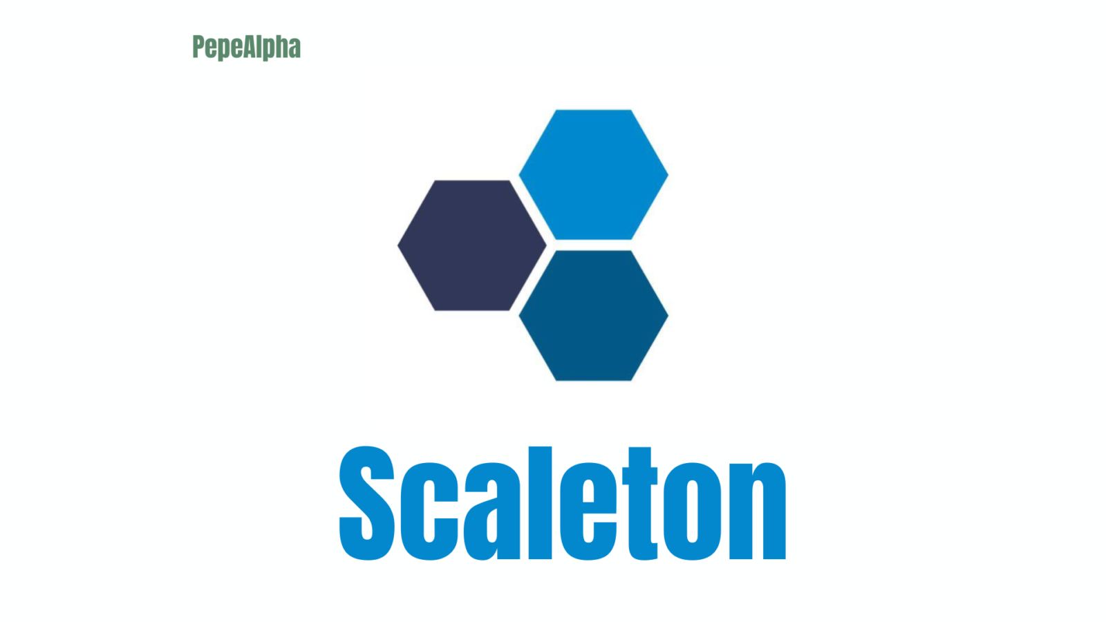 Scaleton: the coolest DeFi wallet on the block