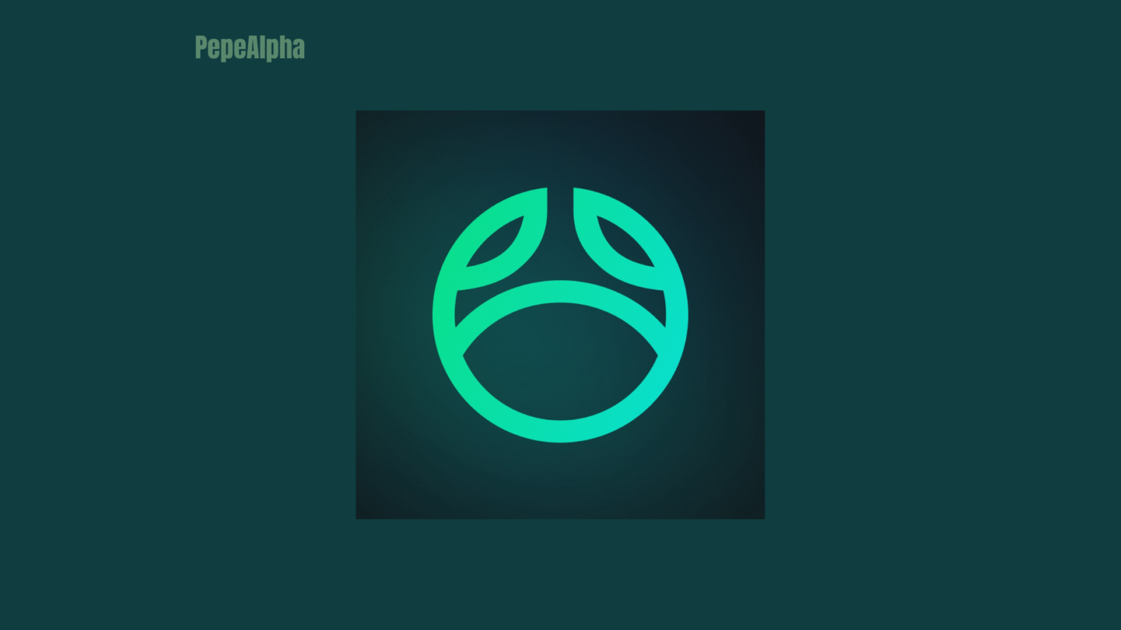 Swapster: the world of crypto wallets and exchanges