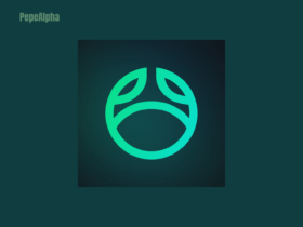 Swapster: the world of crypto wallets and exchanges