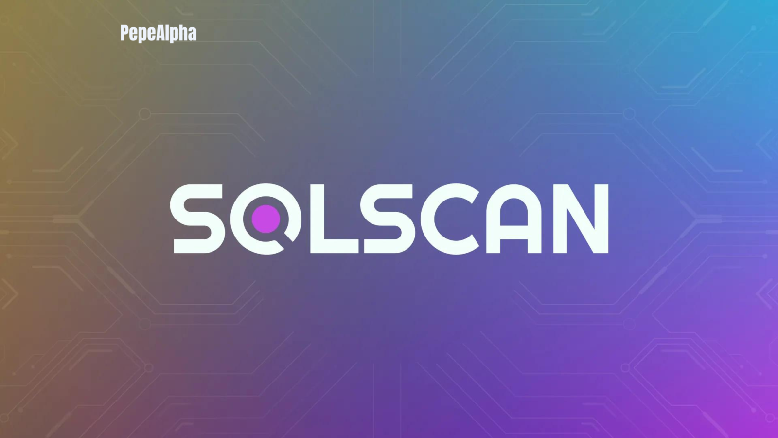 Solscan: Transparency is key in the blockchain world