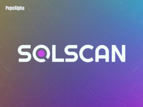 Solscan: Transparency is key in the blockchain world