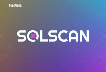 Solscan: Transparency is key in the blockchain world