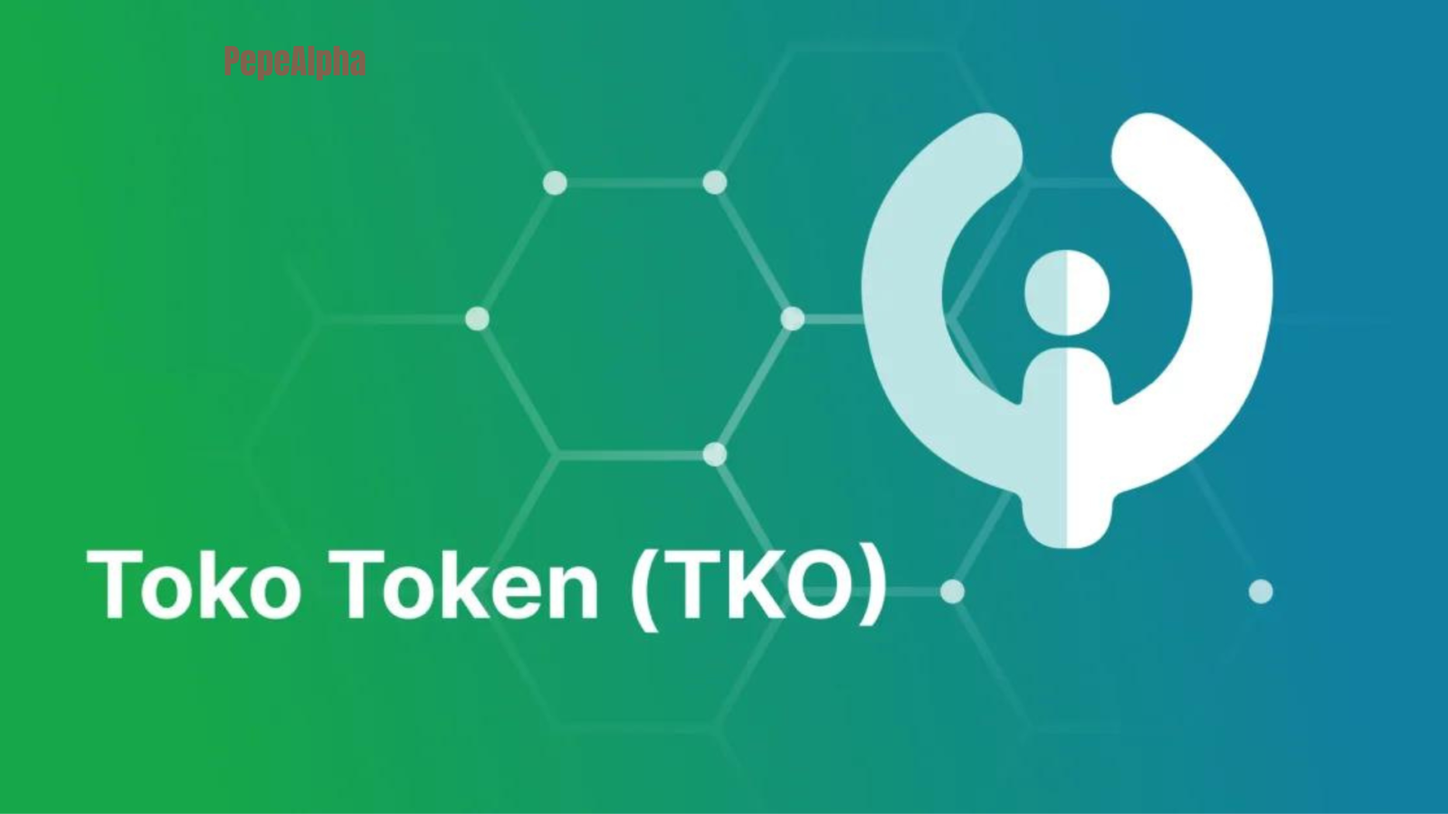 Toko Token (TKO): first crypto with a hybrid token model