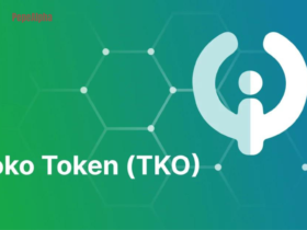 Toko Token (TKO): first crypto with a hybrid token model