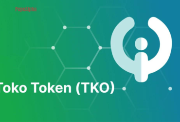 Toko Token (TKO): first crypto with a hybrid token model