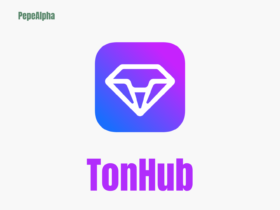 Tonhub: fun and exciting hop through the world of TON
