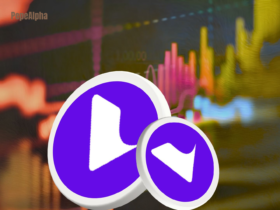 Virtua (TVK): the best stuff you can do on the platform