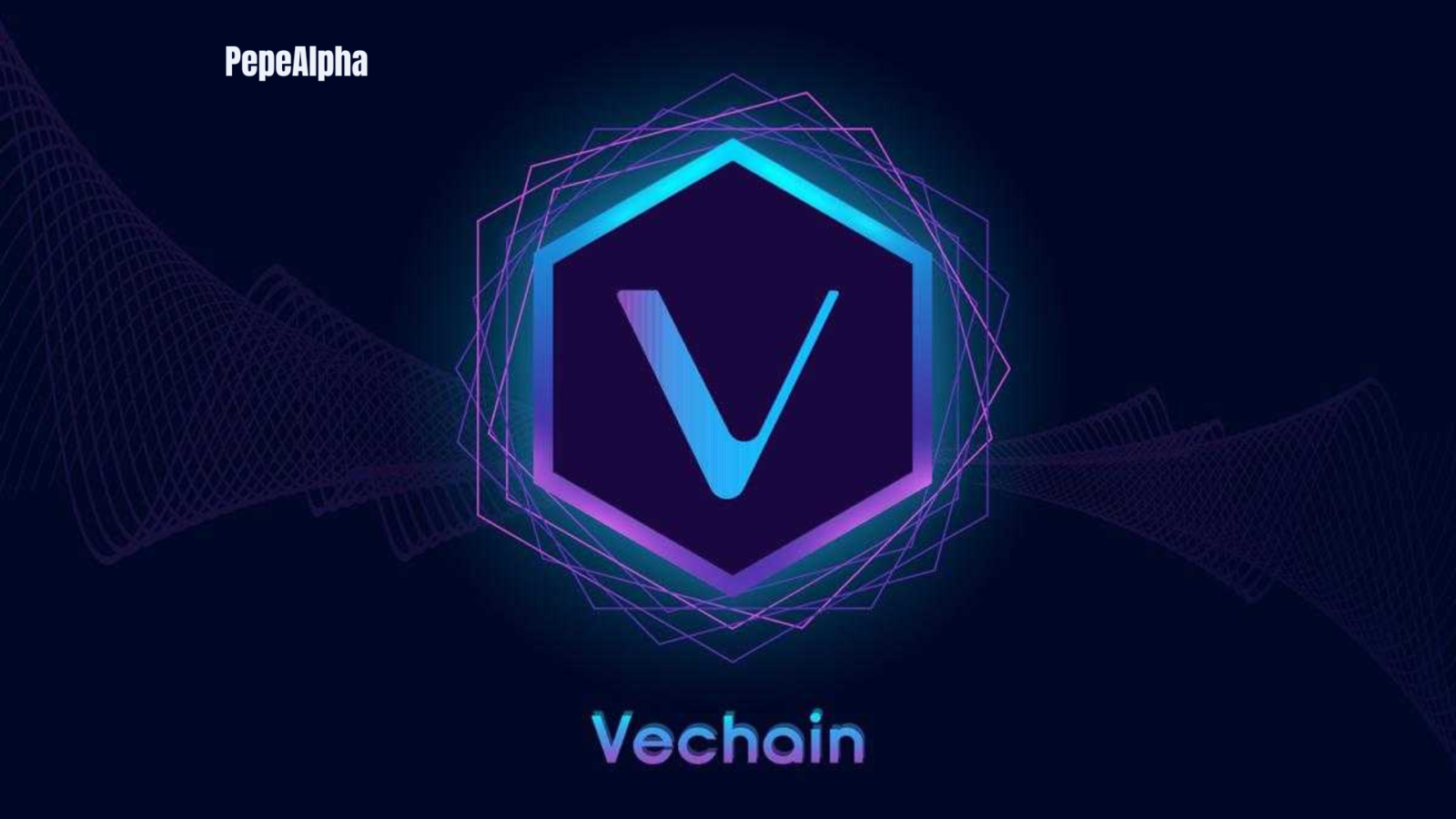 VeChain: Everything you need to know