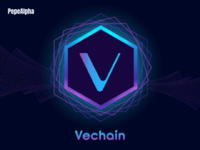 VeChain: Everything you need to know