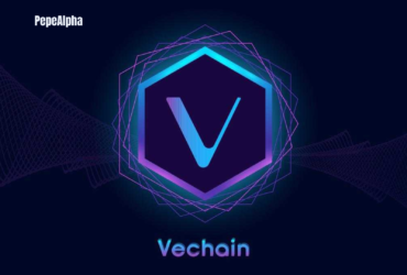 VeChain: Everything you need to know