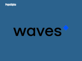 Waves (WAVES): the surfer's dream for the crypto world