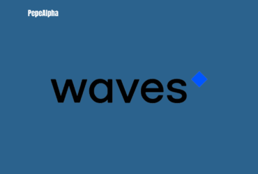Waves (WAVES): the surfer's dream for the crypto world