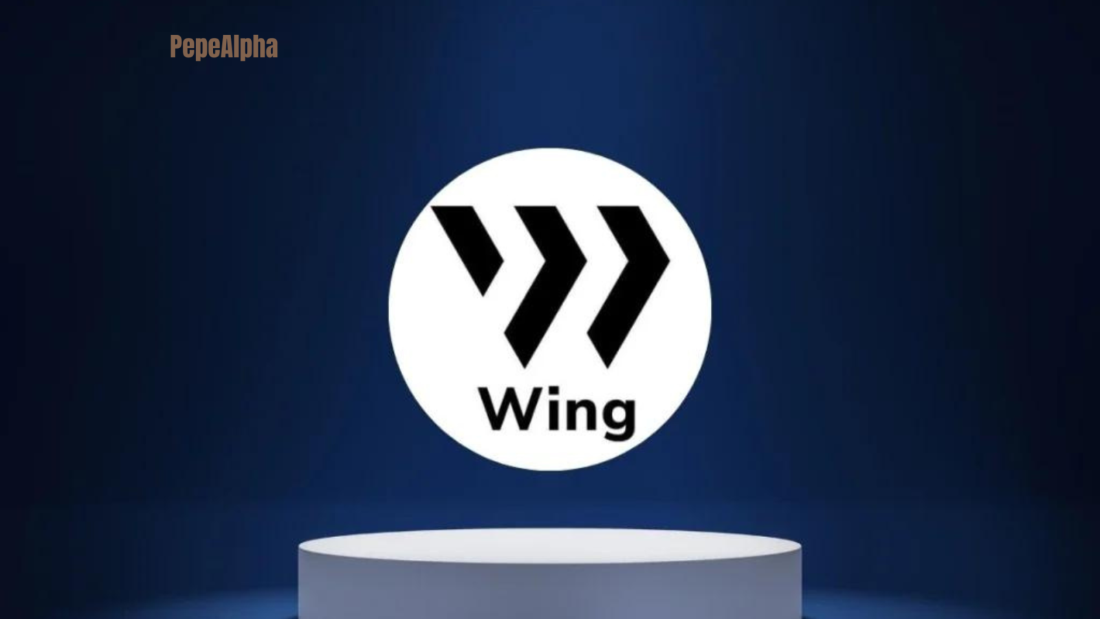 Wing Finance: Best platform for lending and credit ratings