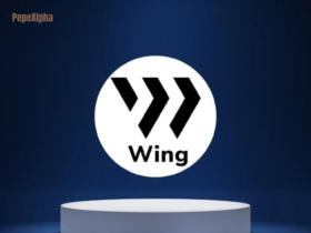 Wing Finance: Best platform for lending and credit ratings