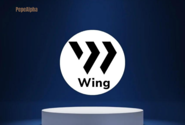 Wing Finance: Best platform for lending and credit ratings