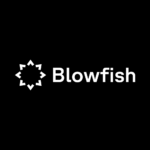 Blowfish: the crypto world safe and secure
