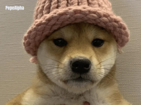 Dogwifhat (WIF): It's all about simplicity and fun