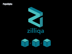 Zilliqa: transaction processing to a whole new level