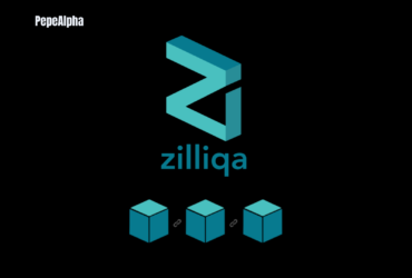 Zilliqa: transaction processing to a whole new level