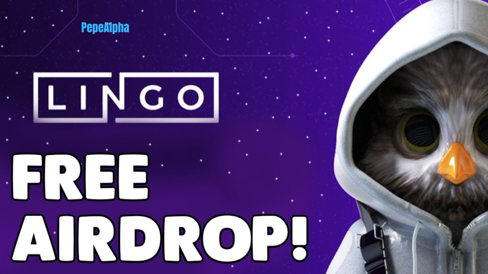LINGO Airdrop: Do it now for $5000 possible profit