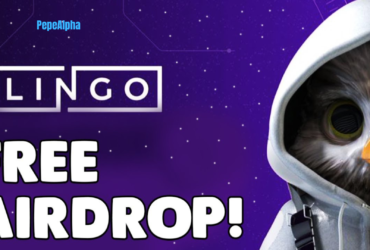 LINGO Airdrop: Do it now for $5000 possible profit
