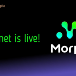 Morph Airdrop: Do it now or you will regret it