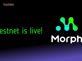 Morph Airdrop: Do it now or you will regret it