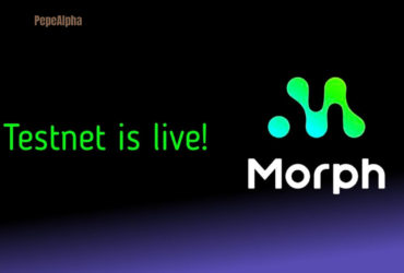 Morph Airdrop: Do it now or you will regret it