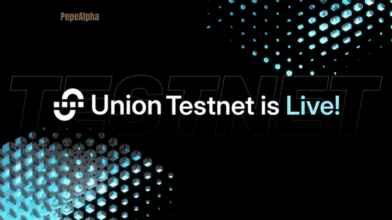 Union Airdrop: Do it now for $1500 possible profit