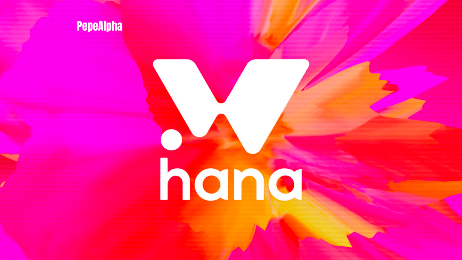 Hana Network Airdrop: Do it now for $3800 possible profit