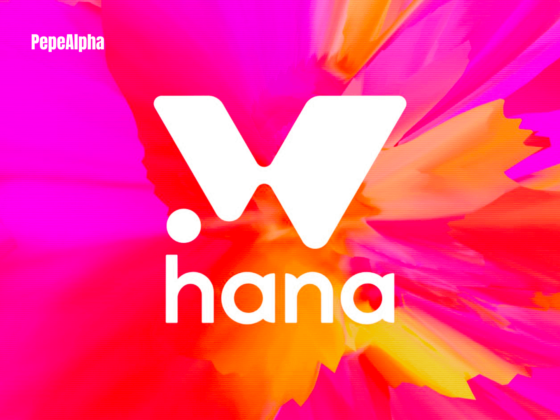 Hana Network Airdrop: Do it now for $3800 possible profit