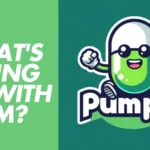 What's going on with the popular site PUMP FUN?